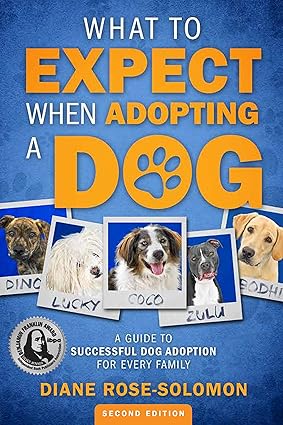 Ultimate Guide: How to Successfully Adopt a Dog