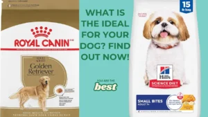 10 Best Dog Foods According to 100+ Veterinarians (Tested!)
