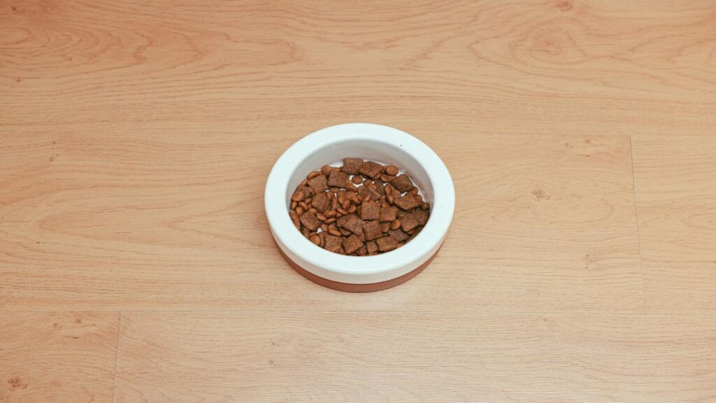 Ultimate Guide: How to Prepare Natural Meals for Your Dog