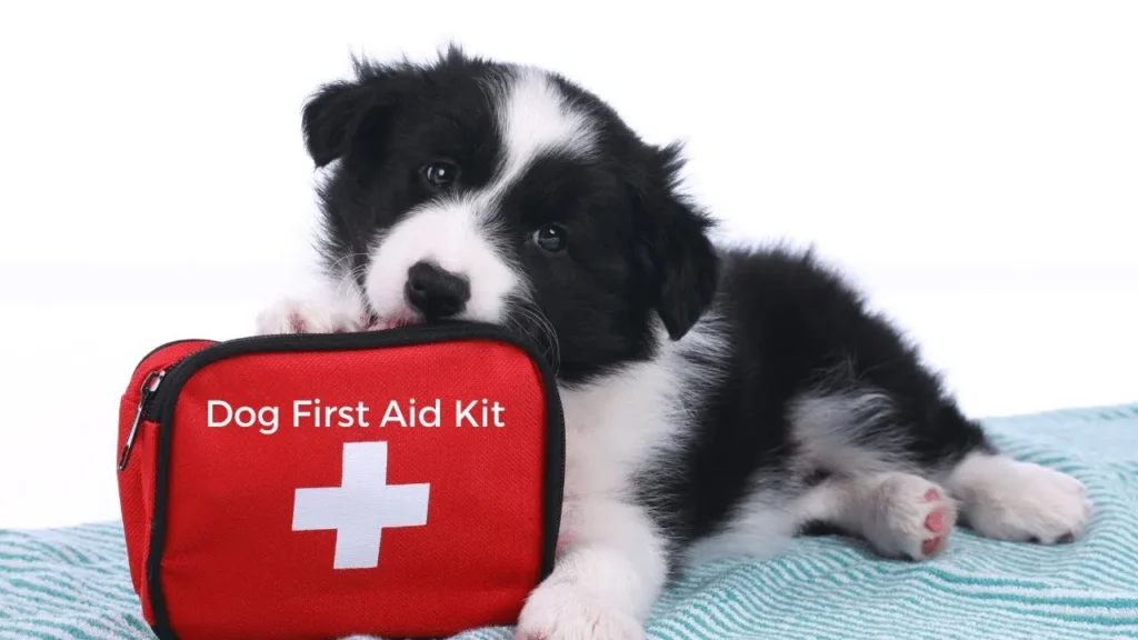 Boost Your Confidence in Emergencies Expert Tips