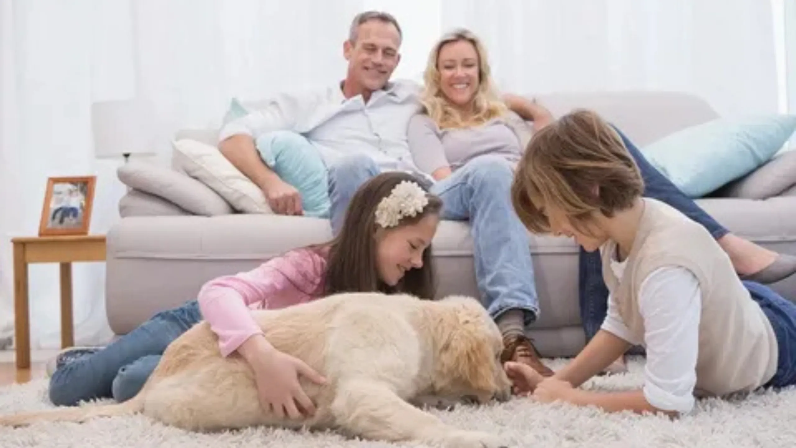 Dog Adoption Powerful Tips for Beginners