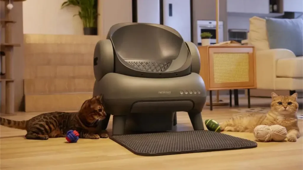Litter Box Secrets Your Cat Hides