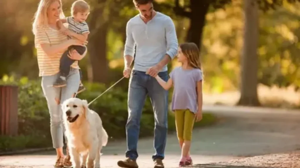 The Essential Guide to Adopting a Dog