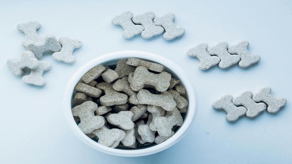 Boost Your Dogs Health with the Ideal Kibble Expert Tips