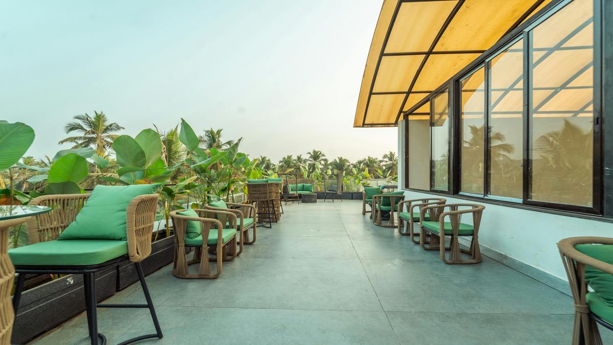 Discover the Luxury of Classy Critters Pet Resort and Spa