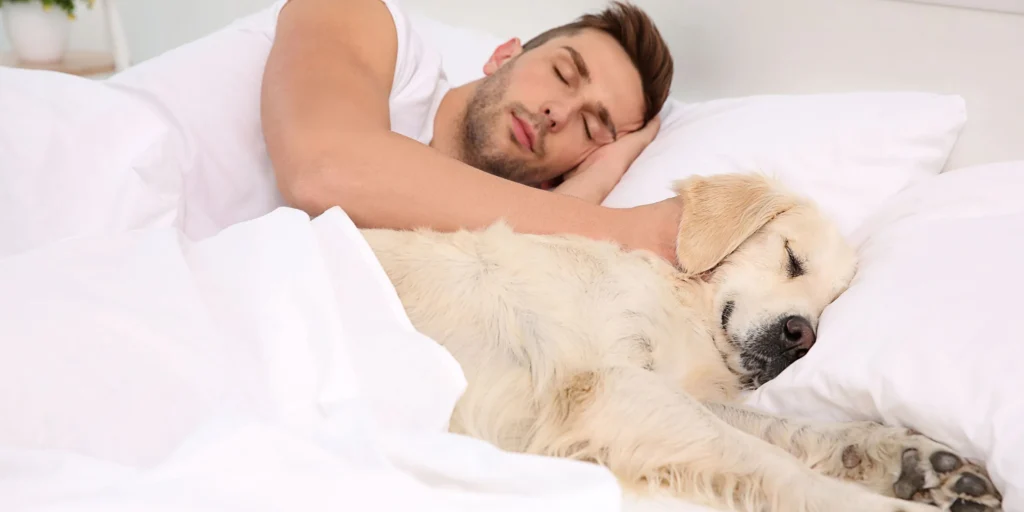 Understanding Your Dogs Sleep Behavior