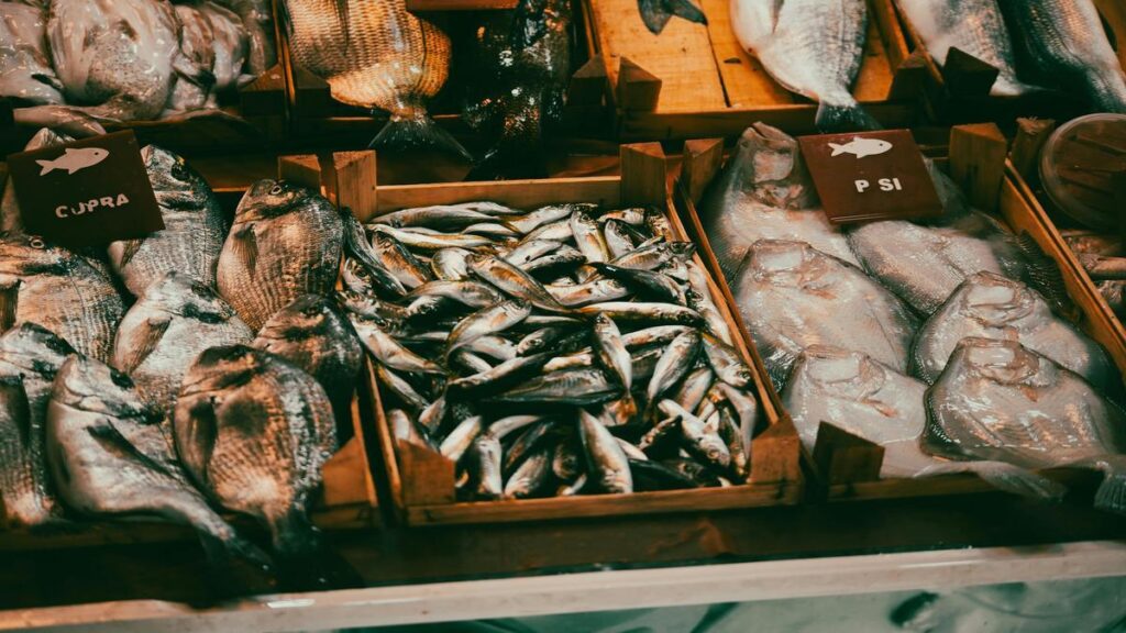 easy-ways-to-start-a-natural-diet-for-dogs