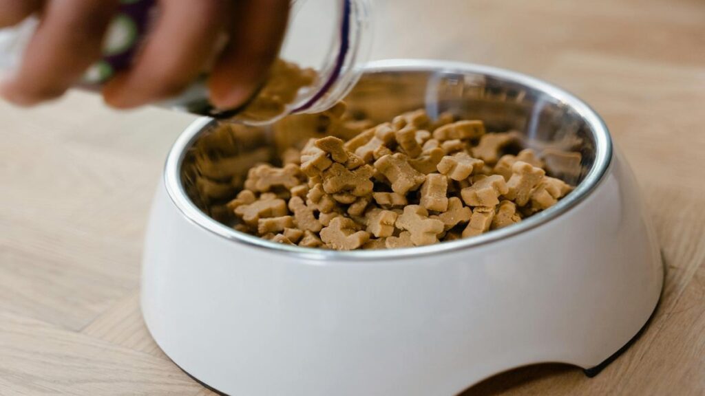 How to Make a Natural Diet for Dogs A Step-by-Step Guide