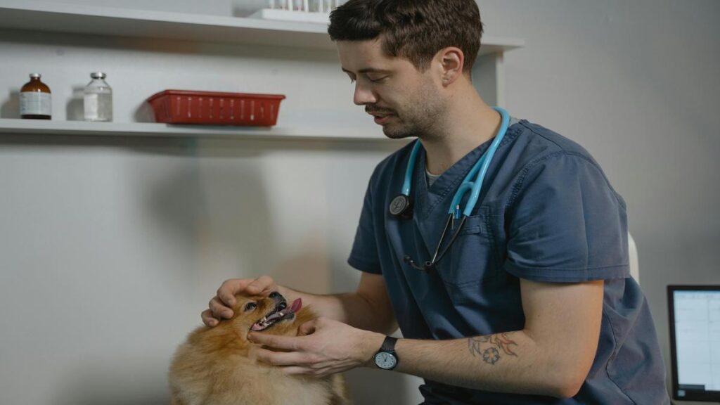 Maximize Your Dogs Health Powerful Natural Diet Methods