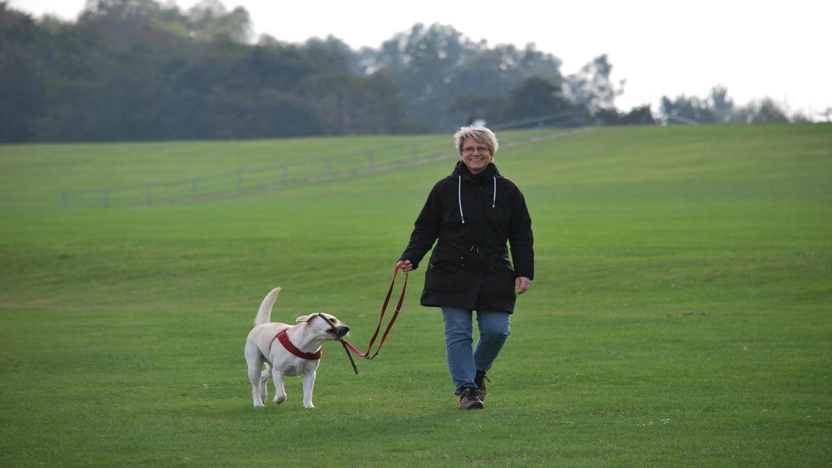 new-walking-paths--happier-dog-mental-health-benefits-explained