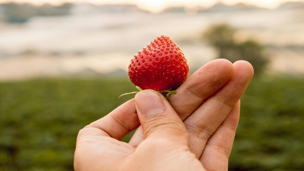 secrets to avoiding nutritional deficiencies in natural diets