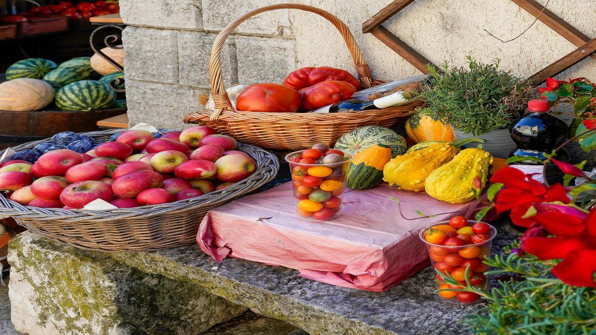 What Are the Top 5 Most Dangerous Fruits for Pets?