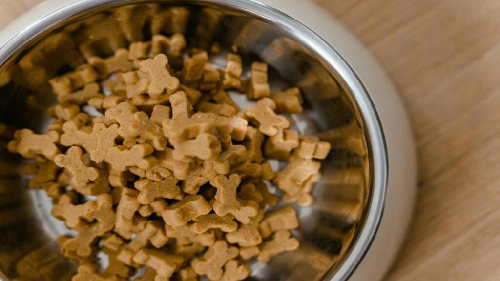 Why Choose a Natural Dog Diet? Top 10 Natural Dog Diet Recipes Healthy and Delicious
