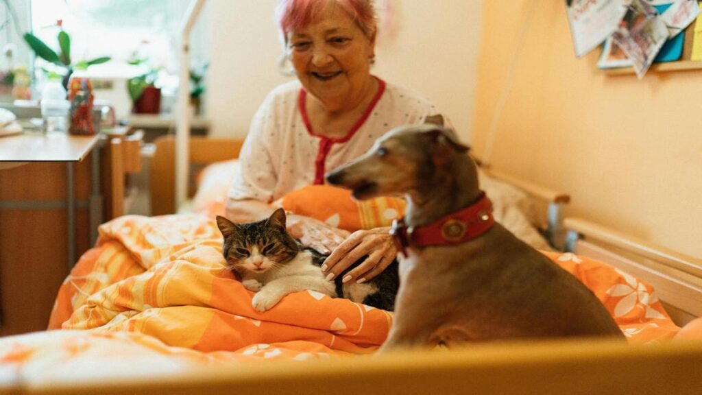 unexpected-joys-adopting-older-pets