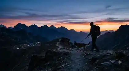 search and rescue dogs - handler and dog walking together silhouetted at sunset after a long shift