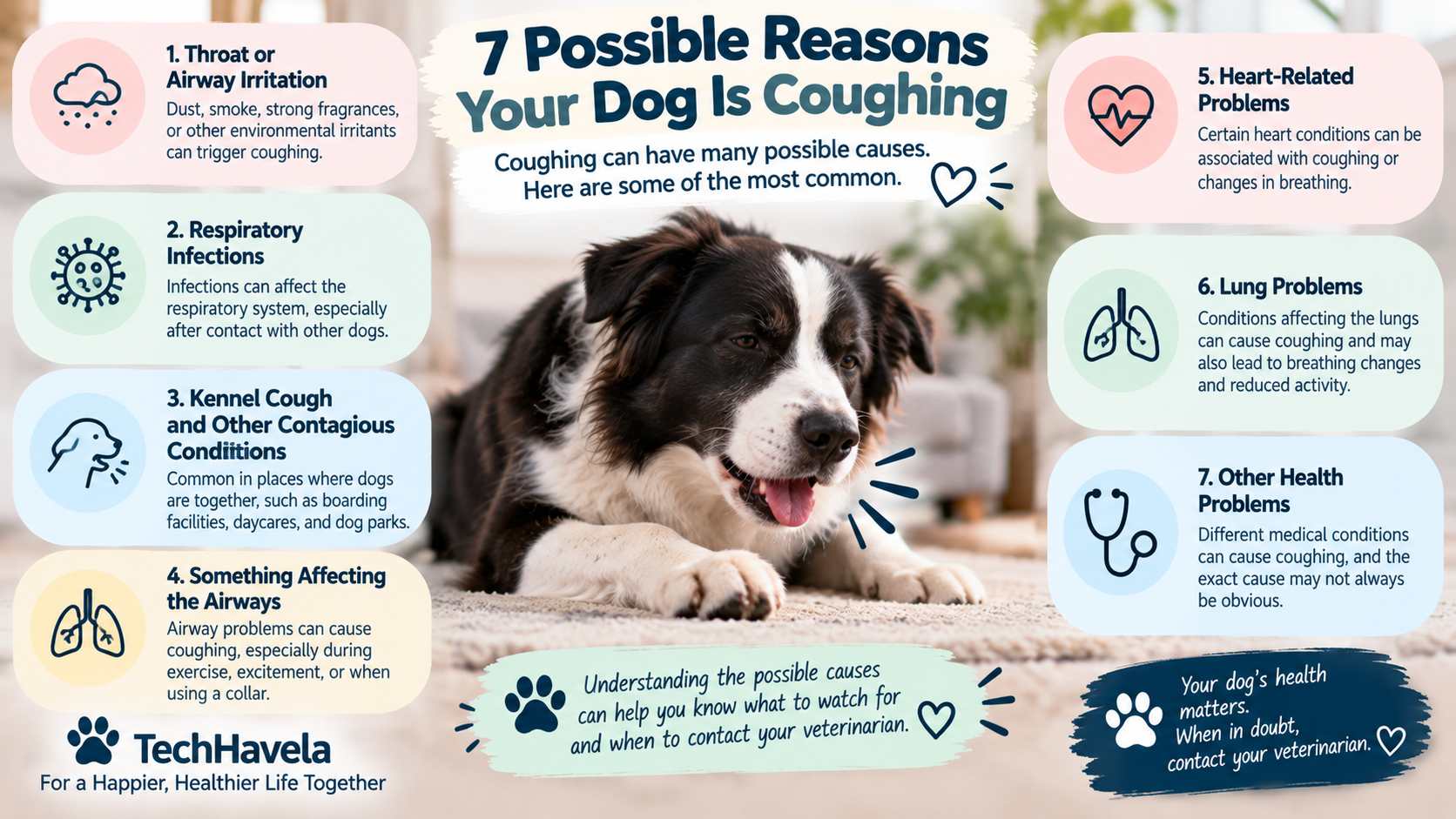 7 possible reasons your dog is coughing