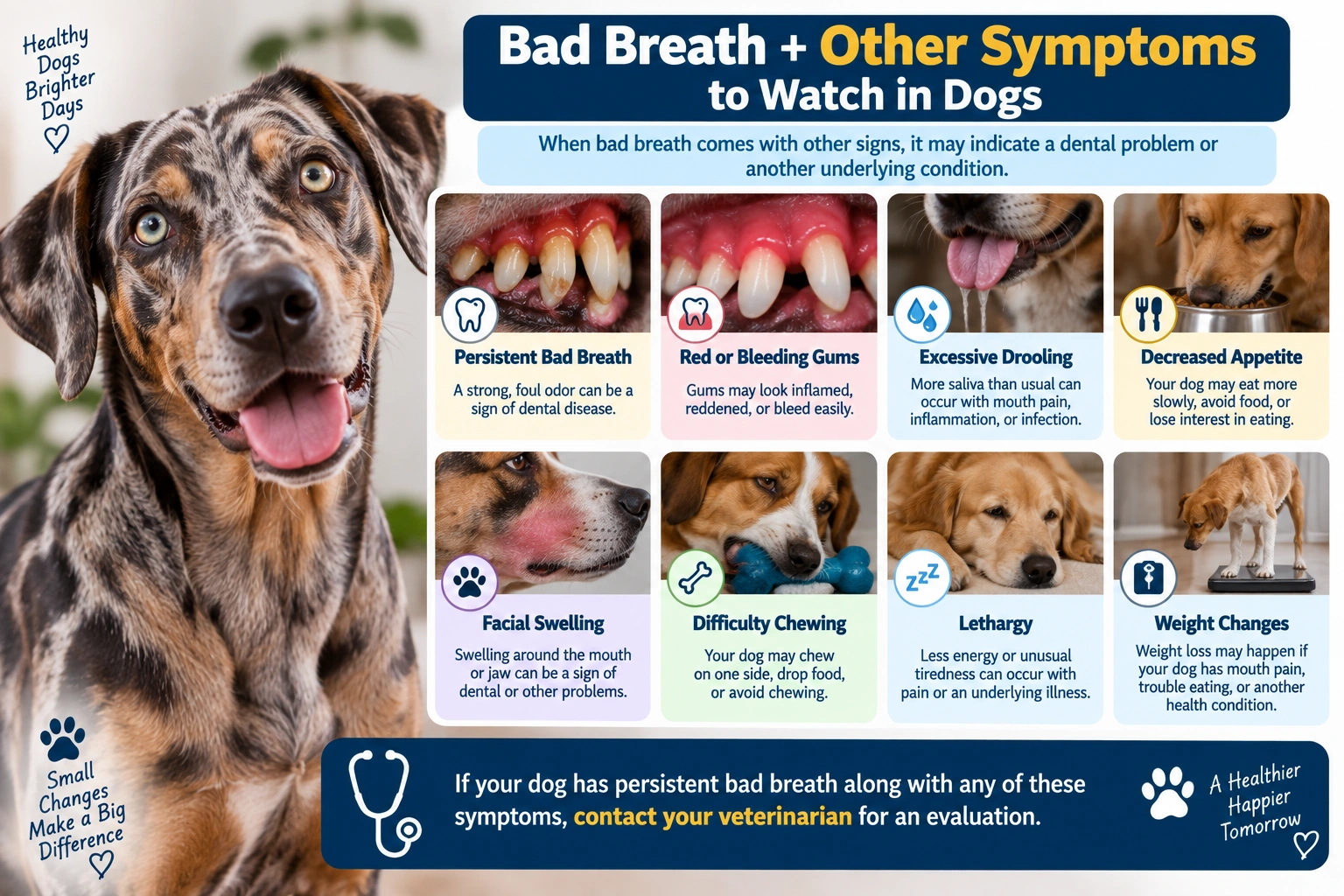 Bad breath in dogs with other symptoms to watch