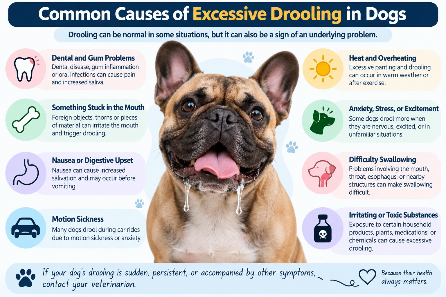 Common causes of excessive drooling in dogs