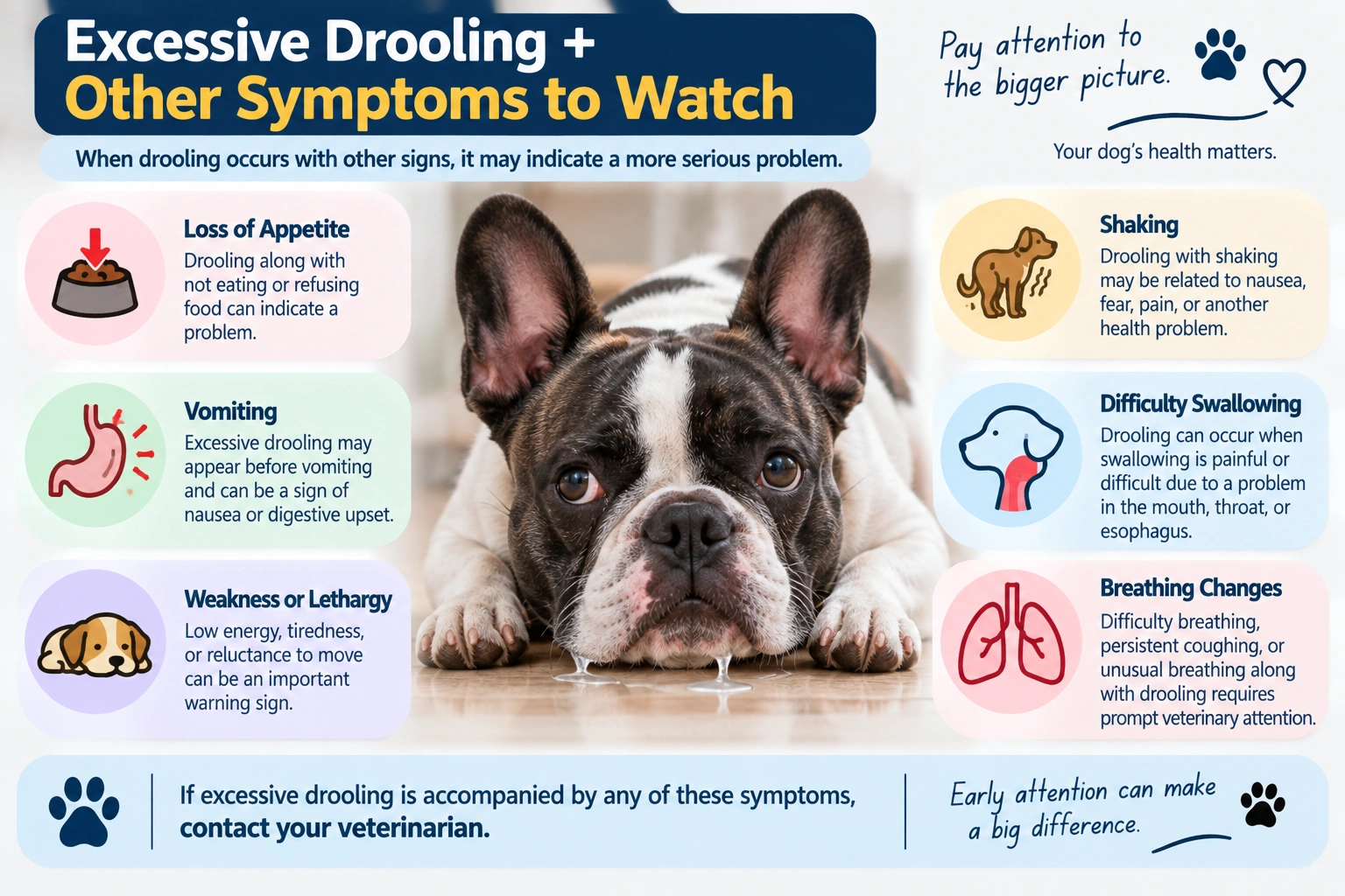 Excessive drooling in dogs with other warning symptoms