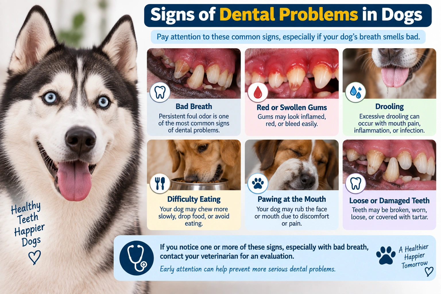 Signs of dental problems in dogs with bad breath