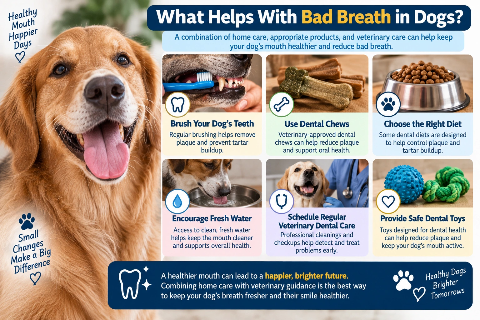 What helps with bad breath in dogs