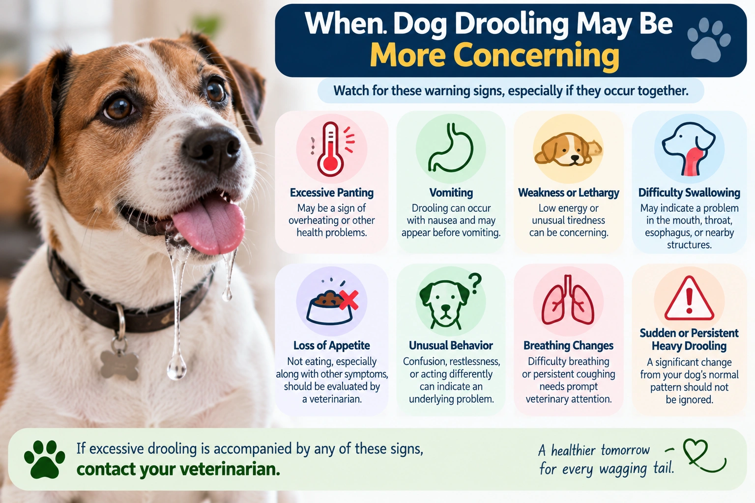 Warning signs when excessive drooling in dogs may be concerning