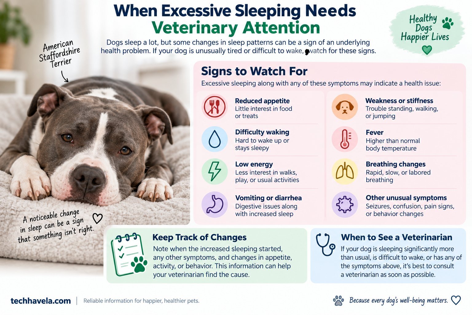 Dog sleeping excessively with warning signs that may need veterinary attention