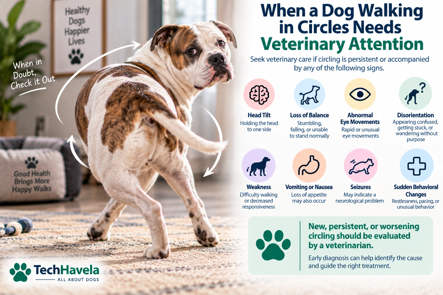 Dog walking in circles with warning signs that may need veterinary attention