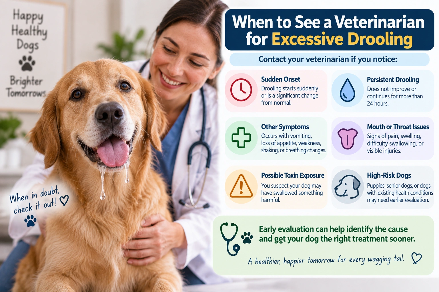 When to see a veterinarian for excessive drooling in dogs