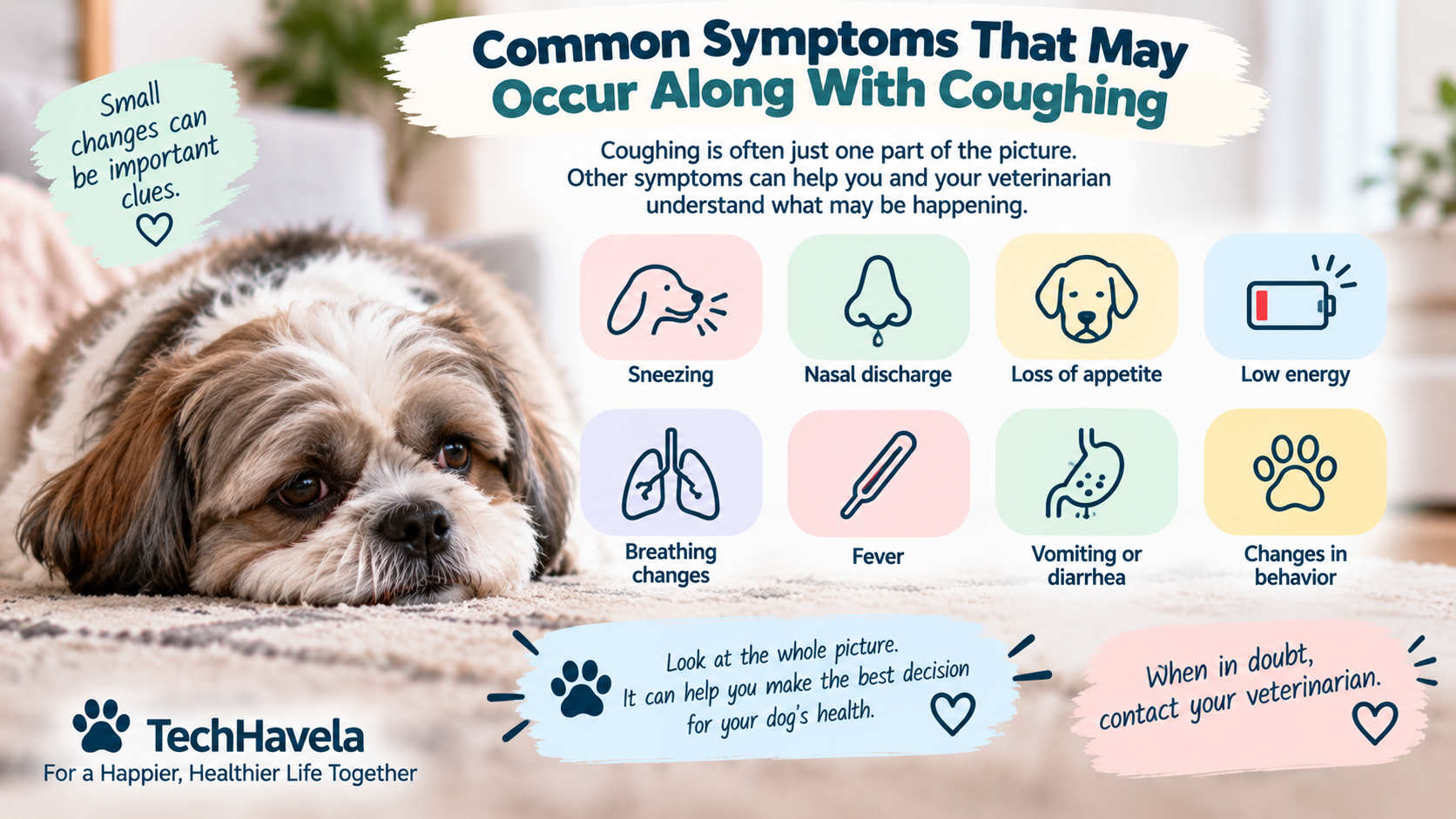 Common symptoms that may occur along with dog coughing