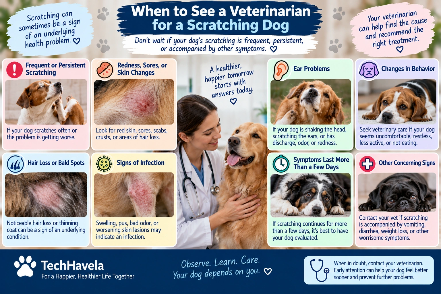 When to see a veterinarian for a dog scratching frequently